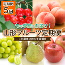 【ふるさと納税】【定期便5回】山形果実 大粒 大玉 厳選品 【令和7年産先行予約】FU22-070 くだもの 果物 フルーツ 山形 山形県 山形市 2025年産