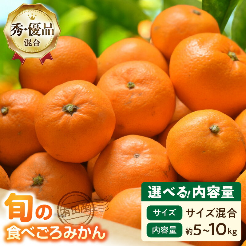【ふるさと納税】【2026年先行予約】 【限定】 有田みかん サイズ混合 選べる 内容量 約 5kg 10kg 和歌山県産 国産 みかん 食べごろ 旬 混合規格 秀品 優品 混合 柑橘 果物 果実 フルーツ おやつ デザート 食品 常温 お取り寄せ 和歌山県 湯浅町 送料無料