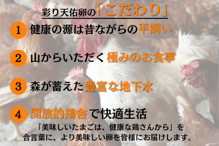 【卵定期便3か月連続お届け】平飼い八雲鶏卵 彩り天佑卵 10個×3パック 定期便卵30個/月 卵合計90個 卵3回定期便 おいしい卵の定期便 卵焼き 卵かけご飯 卵料理に！