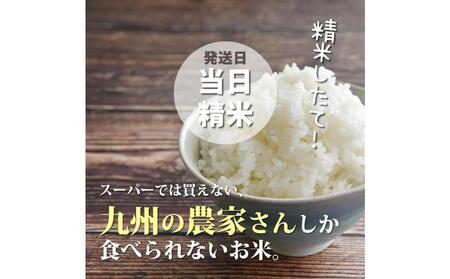 福岡県産【特A】評価のお米「元気つくし」5kg×1袋 5kg [白米]