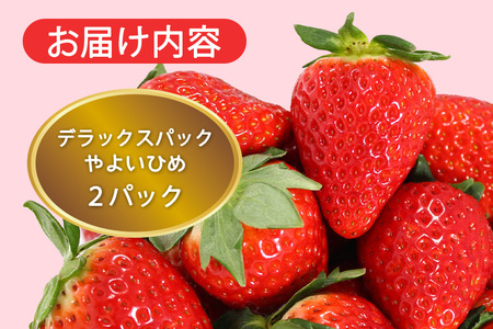 【2026年先行予約】デラックスパック やよいひめ 2p いちご イチゴ 苺 果物 フルーツ くだもの 茨城県 石岡市 A32-022
