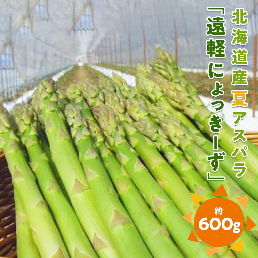 【ふるさと納税】 2026年夏アスパラ600g ( ふるさと納税 アスパラガス グリーンアスパラ 野菜 健康食材 天ぷら 炒め物 パスタ サラダ 大容量 北海道 遠軽町 えんゆう農業協同組合 ) en01-00005