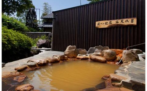 《にごり湯100選の名湯温泉宿[特別客室]》極楽温泉 匠の宿 特別客室(ふみ)ペア１組宿泊ご招待券 奥霧島の旅館[観光 ホテル ご招待チケット 施設利用券 招待券] TF0528-P00018