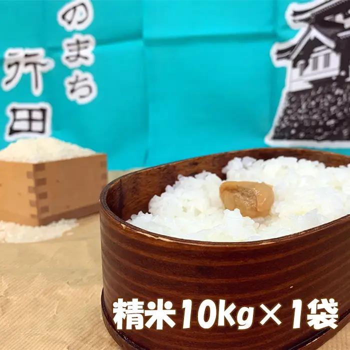 行田のお米 忍城献上米10kg［むかさ商店］ No.049
