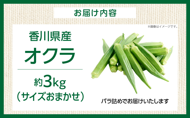 オクラ　約3kg　バラ |オクラ 野菜 ネバネバ 旬の野菜 旬 季節の野菜 季節 贈答 贈り物 ギフト プレゼント おすそ分け グルメ お取り寄せ 人気 おすすめ 特産 特産品 生鮮食品 香川県 三木