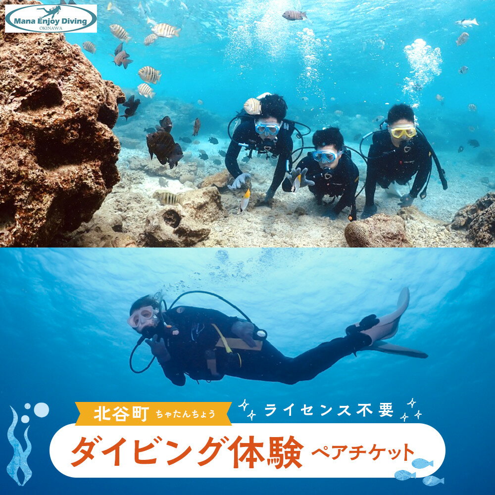 【ふるさと納税】ダイビング体験ペアチケット（ライセンス不要）｜旅行 観光 体験 チケット クーポン マリンスポーツ 北谷 北谷町 人気 ダイビング ペア | ふるさと 旅行 観光 体験 チケット クーポン マリンスポーツ 沖縄県 沖縄 北谷 北谷町 人気 ダイビング　ペア