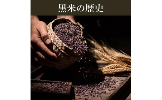 定期便 6ヶ月 ご飯パック 金賞 健康米 玄米・黒米  120g×12個入り 国産 レンチン もち麦 軽食 夜食 簡単 白米 麦 食物繊維 ビタミン 御飯 ごはん パック ご飯 パックライス 