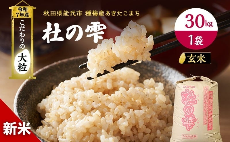 
            令和7年産 玄米 秋田 あきたこまち 杜の雫 30kg 1袋 秋田県産 米 お米 こだわりの大粒 種梅産 ご飯 ブランド米 大粒 おにぎり 産地直送 送料無料 おこめ ごはん 秋田県
          