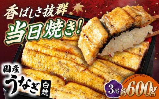 国産活うなぎ3尾（白焼） 滋賀県長浜市/株式会社魚三 [AQDF012]