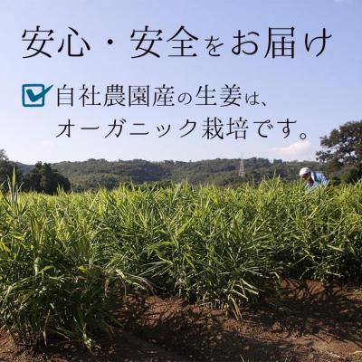 ふるさと納税 いちき串木野市 鹿児島県産ジンジャーパウダー(40g×3)自社農園の新生姜のみ使用! |  | 02