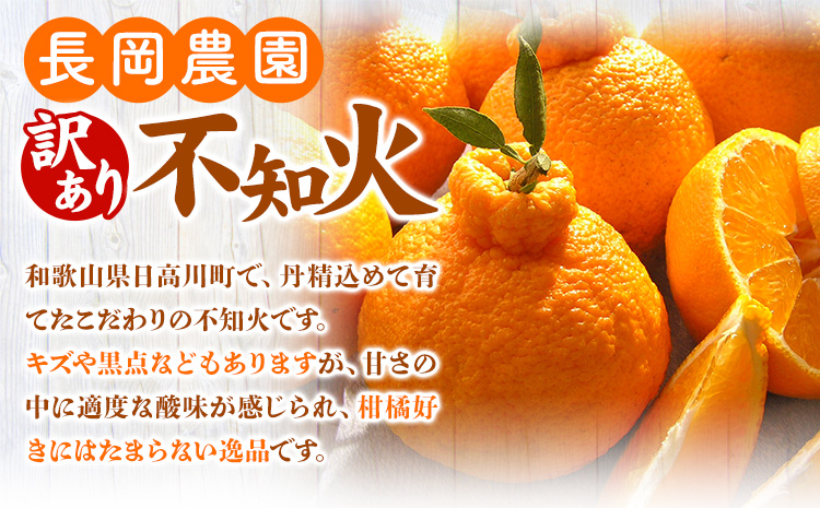 【先行予約】【訳あり】不知火 約10kg 長岡農園《2月中旬-4月上旬頃出荷》 和歌山県 日高川町 訳あり デコポン と同品種  柑橘 みかんしらぬいst-p