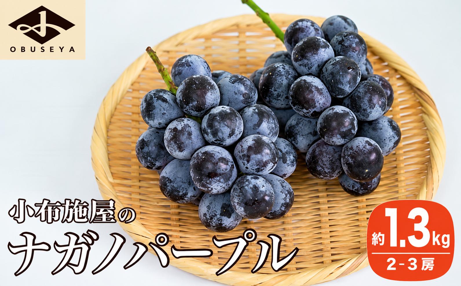 
                  ナガノパープル 約1.3kg 2～3房 ［小布施屋］ 果物 フルーツ ぶどう 葡萄 令和8年産【2026年9月上旬～10月上旬発送】[B-5]
                