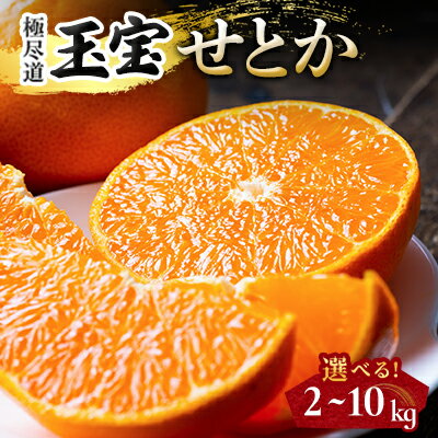 【ふるさと納税】「玉宝ブランド」【せとか】 2kg / 3kg / 5kg /10kg_ みかん せとか セトカ 玉宝 愛媛のみかん 柑橘 果物 くだもの フルーツ デザート 美味しい 濃厚 甘い ジューシー 愛媛 ご当地 愛媛県 八幡浜市 人気 送料無料 【G1511267】