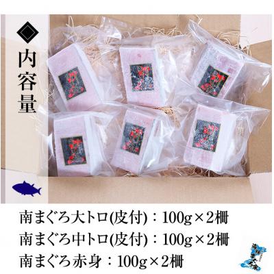 ふるさと納税 いちき串木野市 天然南マグロ大トロ・中トロ・赤身 各100g×2 計600g |  | 02
