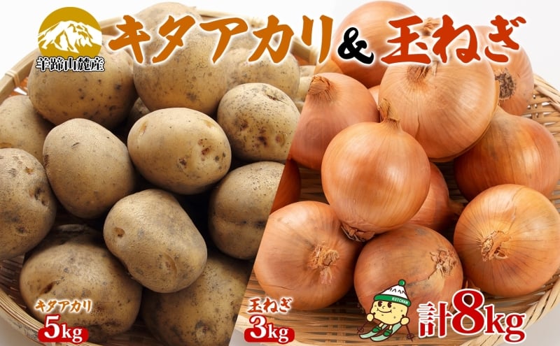 
            北海道産 じゃがいも キタアカリ5kg 玉ねぎ 3kg Lサイズ 計約8kg ジャガイモ 北あかり 馬鈴薯 ポテト 玉葱 常備野菜 根菜 産直 JAようてい 送料無料 北海道 倶知安町
          