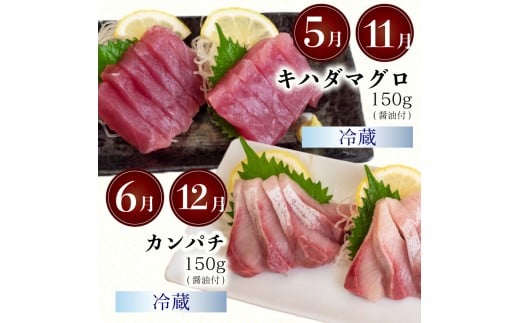 6ヶ月 定期便 刺身 鮮魚 6回 定期便 新鮮 国産 （ ブリ かつお たたき キハダ マグロ タイ 貝 セット）長太郎 サザエ  鰹 鯛 鮪 セット 冷凍 冷蔵 しゃぶ 鯛 お鍋 海鮮 年末 年始 