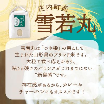 ふるさと納税 庄内町 渡會さんのうまい米!雪若丸 10kg 5kg×2袋 令和7年産 2025年産 ブランド米 |  | 01