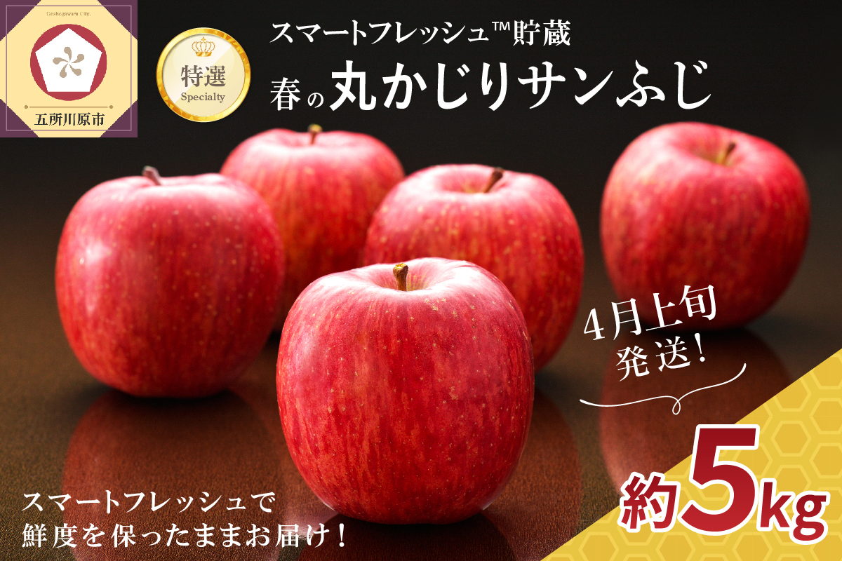 【2025年4月上旬発送】≪特選≫ 春の丸かじりサンふじ りんご 約5kg スマートフレッシュTM貯蔵 贈答用 青森県産