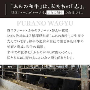 ふらの和牛 サーロインステーキ 黒毛和牛 霜降り ふらの和牛【400g(約200g×2枚)】