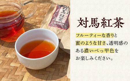 【全12回定期便】対馬 紅茶 リーフ 30g×6個 和紅茶 国産 茶葉  [WBE007]