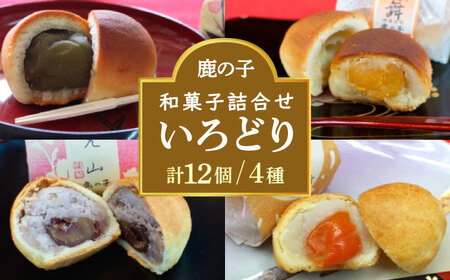 【老舗の菓子屋 鹿の子】和菓子 詰め合わせ「いろどり」4種 12個【有限会社 御菓子司 鹿の子】 [ABAC012]