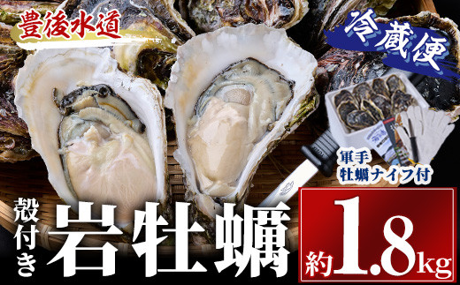 
                  ＜先行予約受付中！2026年6月上旬より順次発送予定＞岩牡蠣 殻付き 大小混合 (約1.8kg) 冷蔵 生食不可 牡蠣 カキ かき 一粒 ひとつぶ 養殖 獲れたて 冷蔵 海の直売所 大分県 佐伯市【AS139】【海べ】
                