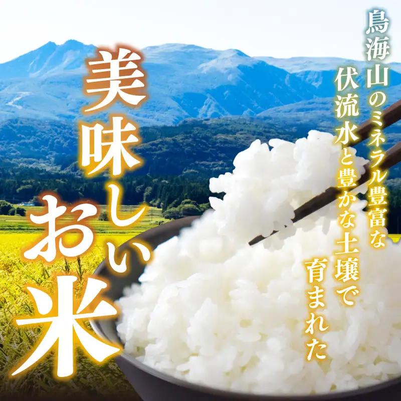 【先行予約 定期便8か月】白米 ブレンド米 10kg  令和8年度産 白米