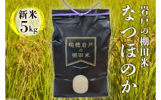 【新米予約】 令和6年 長崎県産 なつほのか (精米) 5kg 数量限定 [長崎県農産品流通 長崎県 雲仙市 item1577] 新米 米 お米 期間限定