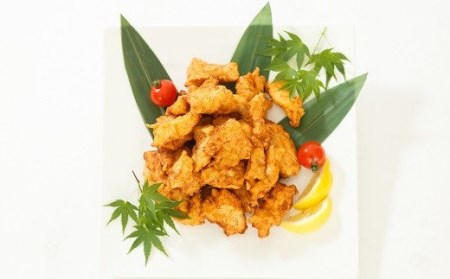 B1-07 豊後鶏のとり天【大分名物　とり天】