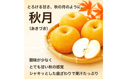 秋月梨 1.8kg ナシ 梨 果物 くだもの フルーツ FKP9-729