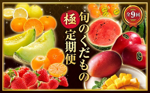 【数量限定】旬のくだもの【極】定期便【全9回】 きんかん たまたま いちご 苺 イチゴ せとか マンゴー 太陽のタマゴ スイカ メロン 温州みかん  日向夏 完熟 種なしフルーツ 果物 定期便