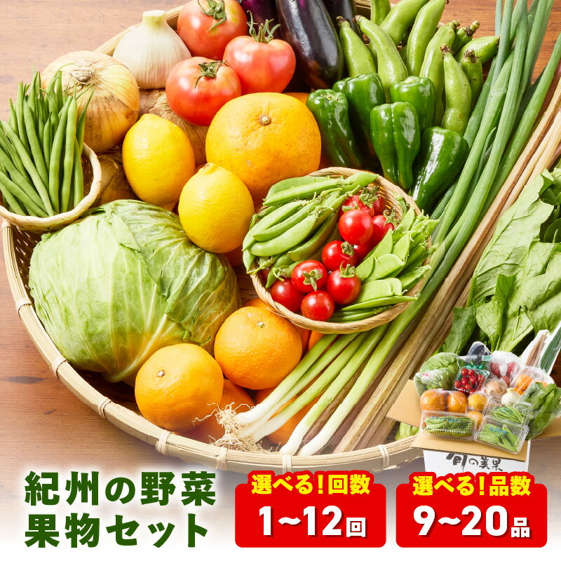 【ふるさと納税】紀州の野菜・果物セット定期便 9～14品目 15～20品目 1回 6回 12回 旬の野菜 詰め合わせ 詰合せ 野菜 送料無料