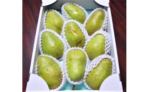 西洋梨（バラード）３ｋｇ　ご家庭用　0017-2514
