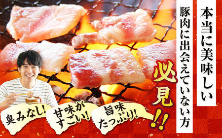 【3回定期便】五島美豚焼肉1kg（ロース500g バラ500g） 五島市/ごとう農業協同組合[PAF007]  焼肉 定期便 焼肉 定期便 焼肉 定期便 焼肉 定期便