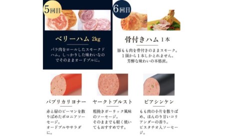 ハム 定期便 7ヶ月 豚1頭分 セット 詰め合わせ ハム