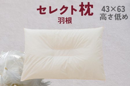 セレクト枕 羽根 中央くぼみタイプ 低め シングル【27070030】