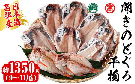 日本海西部産 開きのどぐろ干物C(1350g・9～11尾)干物 ひもの 旬 のどぐろ 鮮魚 魚 魚介 海鮮 海の幸 お取り寄せ 贈答用 ギフト おつまみ セット 水産加工 高級【T-AN5】【大山ブランド会】