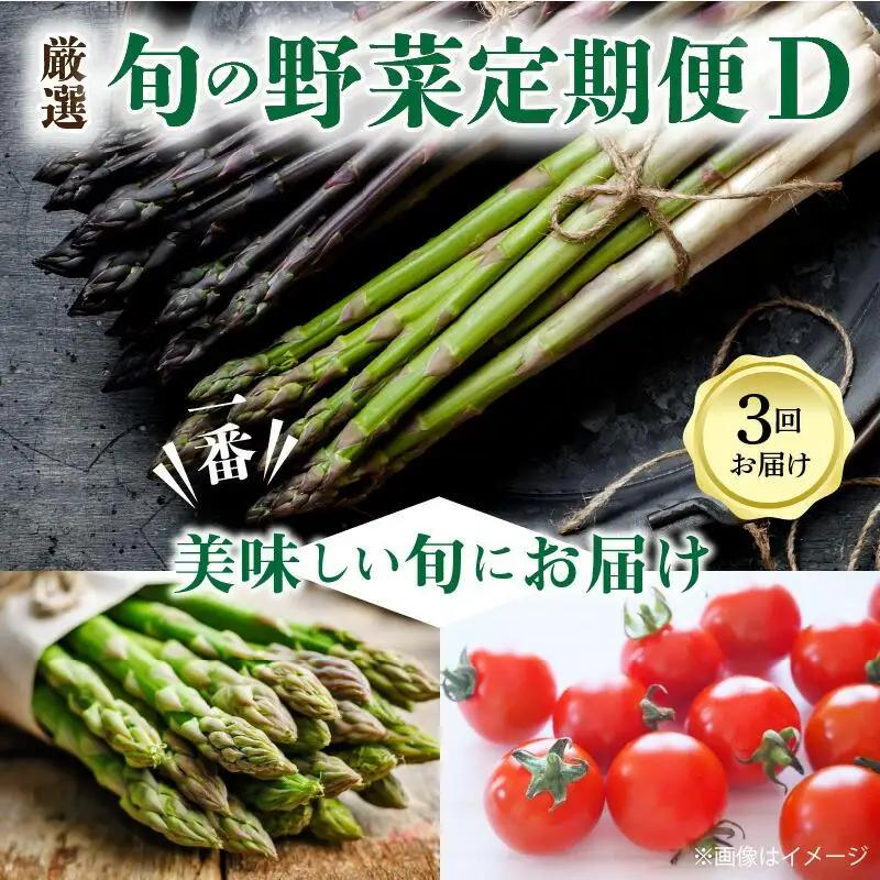 季節のやさい  厳選 高松市 3回 [旬な季節に合計3回発送]定期便D