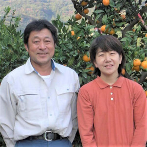 農家直送！なつみオレンジ 10kg 無選別≪秀品・訳あり品・サイズ混合≫【平武農園】～蛍飛ぶ町から旬の便り～