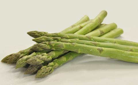 食の都庄内　庄内のグリーンアスパラ約600g＆庄内豚ロース厚切肉約500g　※令和8年3月中旬～6月上旬頃発送 [NY2-068(産直出前便)]