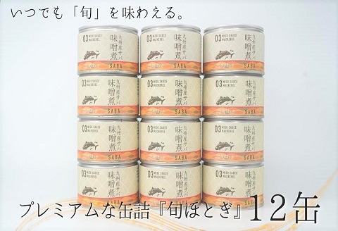 缶詰工場直送　伝統のさば缶「旬ほとぎ」味噌煮12缶【B2-114】