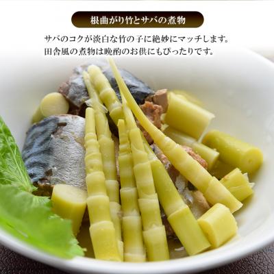 ふるさと納税 羽後町 名産缶詰 タケノコ水煮(根曲り竹)5缶セット[No.5325-0663] |  | 02