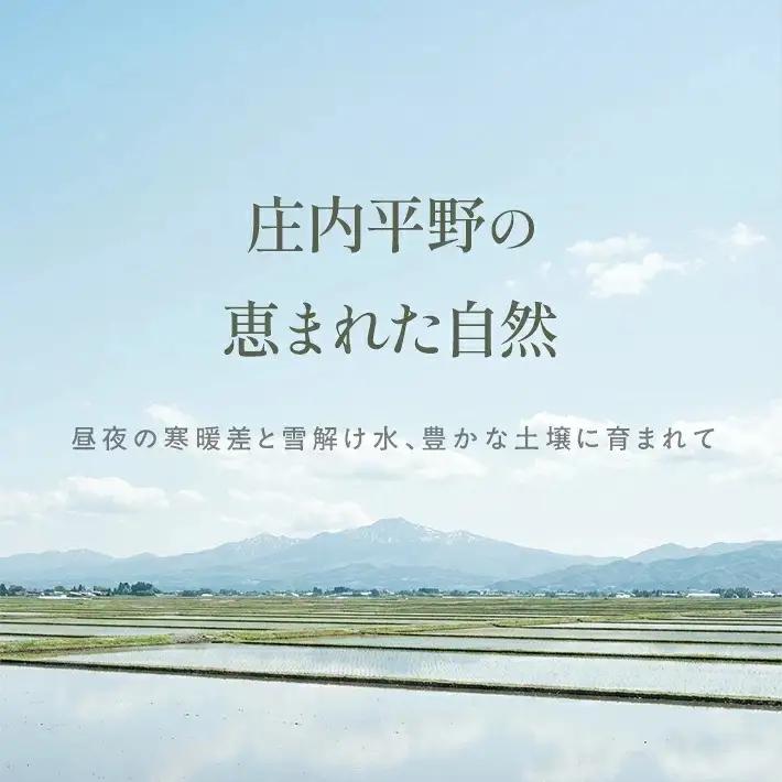≪新米予約≫ ひとめぼれ 計10kg 5kg×2袋 令和8年産米 山形県庄内産 ご希望時期頃お届け 東北 山形県 遊佐町 庄内地方 米 お米 精米 白米 庄内米 ご飯 ごはん 農協 JA 11月中旬 