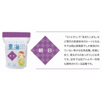 ふるさと納税 笠岡市 【瀬戸内海保護】里海米食べ比べ3本セット　無洗米　A-154e |  | 03