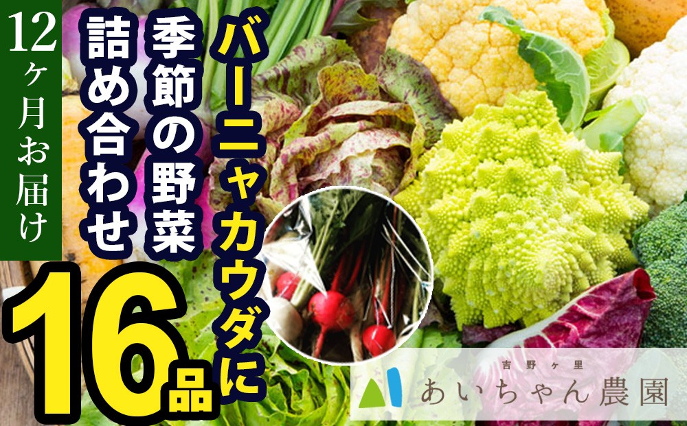 
                  【定期便セット】全12回 バーニャカウダ用 季節の野菜詰め合わせ16品 
                