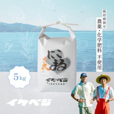 ふるさと納税 佐渡市 【発送月固定定期便】【にこまる】白米 5kg 新潟県佐渡産全6回