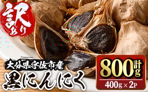 
            ＜訳あり・不揃い＞活力 黒にんにく(計800g・400g×2P) にんにく ニンニク 野菜【116600100】【シイズンドアグリ】
          