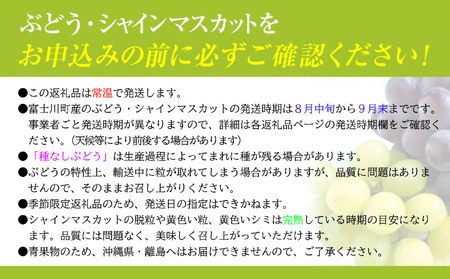 【2025年発送】【２回定期便】頬張る幸福感 ～緑の宝石・シャインマスカット～ 計２kg（1.0kg以上・2～3房を２回[9月上旬・下旬]お届け）　シャイン シャインマスカット ぶどう 葡萄 ブドウ 