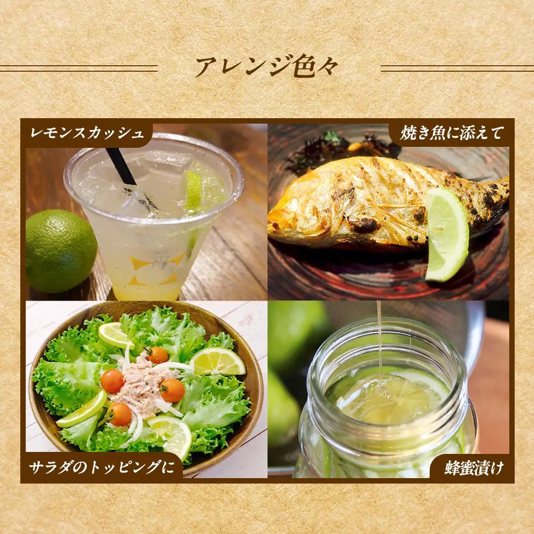 瀬戸内の ハウスグリーン レモン 約3kg【2026年8月以降発送】