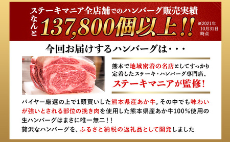 ステーキマニア監修 熊本県産あか牛100%生ハンバーグ 140g×13個入り 合計1820g《30日以内に出荷予定(土日祝除く)》熊本県産あか牛 バイキングベーカリー 冷凍